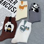 Four pairs of novelty socks arranged on a gray textured surface with a printed paper prop. The socks feature cute animal illustrations: a brown pair with a black-and-white cat, a cream pair with an orange cat, a gray pair with a panda, and a white pair with a gray rabbit and cat.