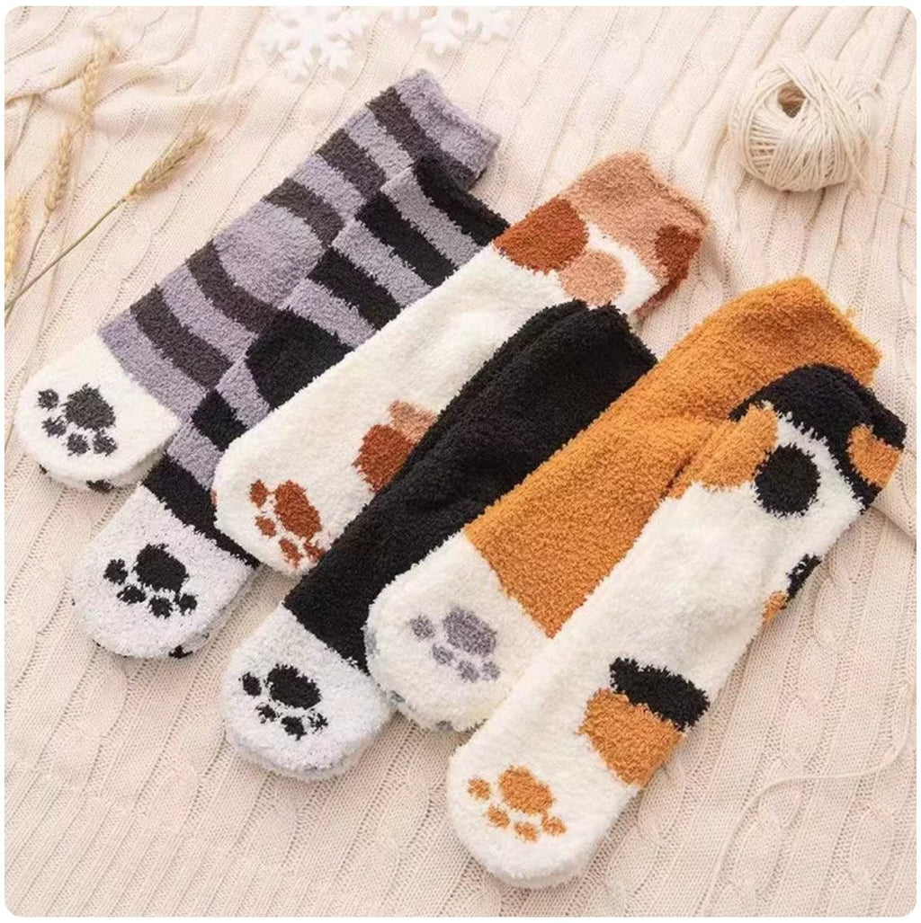 Cat Paw Sleep Socks Gift Box