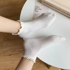 Pastel Ribbed Lace Frill Cotton Ankle Socks (Set of 5)